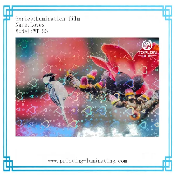 Loves/WT-26: 3D Film Laser Film Photo Protection Film Cold Lamination Film for Photos Laminated Roll