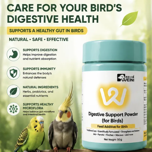 Pet Health Supplements for Digestive Support