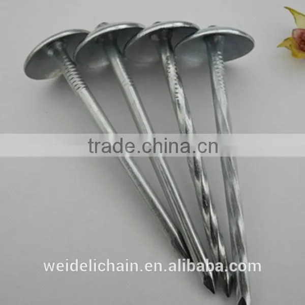 China Umbrella Roofing Nails With Twist Shank or Plain Shank photo-6
