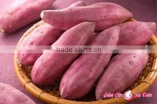 FRESH SWEET POTATO photo-2