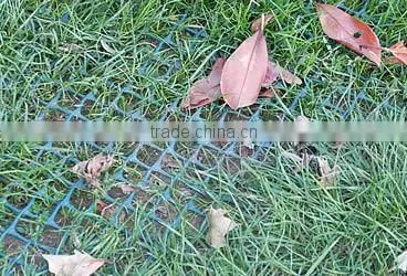 Grass Sod Reinforcement Net for Green Traffic Areas photo-4