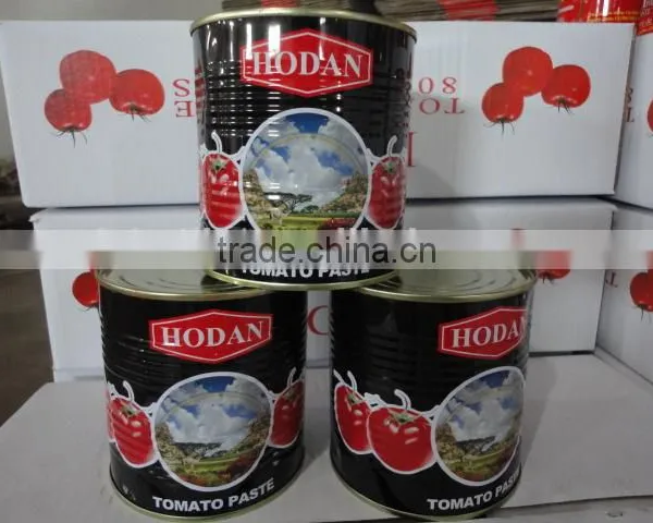 Factory Supply 800gram*12tins Tinned Tomato Paste photo-4