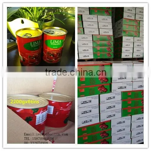China Supplier Health Food Canned Tomato Paste,good Quality and Lower Price photo-2