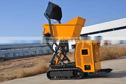 2016 New Small Site Dumper photo-2