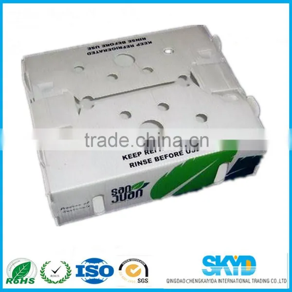 Fresh Vegetables Plastic Shipping Boxes pp Corrugated Plastic Sheets photo-3