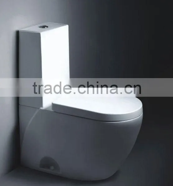 Washdown Two Piece Toilet