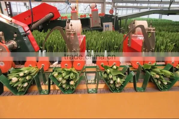 Norwayho Elastic Twine for Flower Binding photo-2