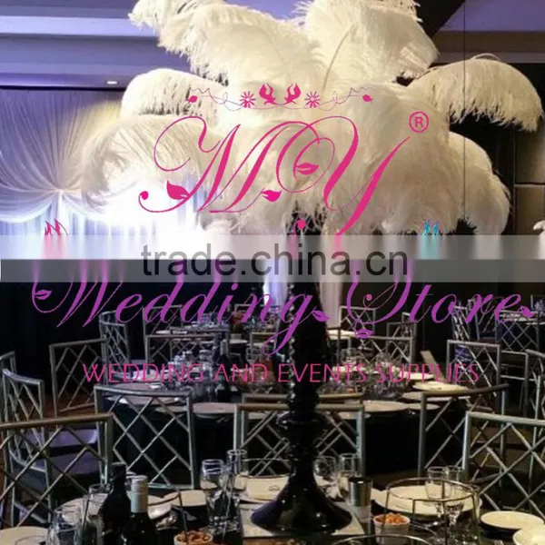 Colored Ostrich Feathers