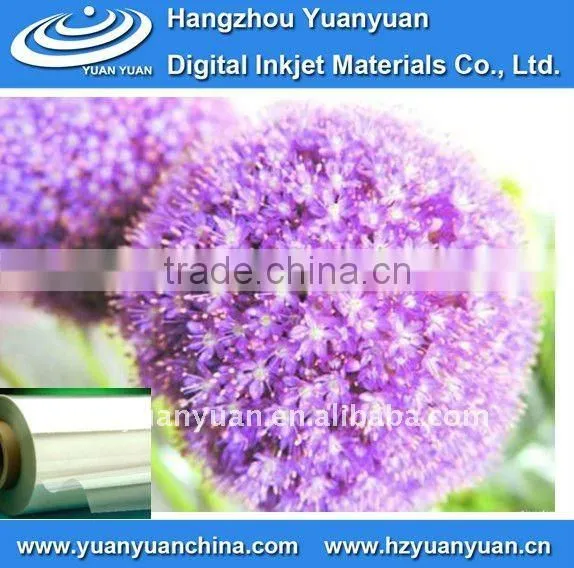 Waterproof Rigid PVC Film