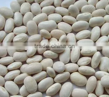 Chinese Medium White Kidney Beans for Sale Quality Choice photo-6