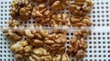 Supply Walnut- Natural Walnut Kernels Light Halves photo-4
