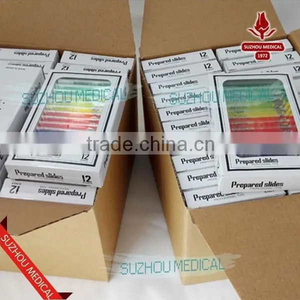 Plastic Prepared Slide Set of 12 for Children Microscope photo-2