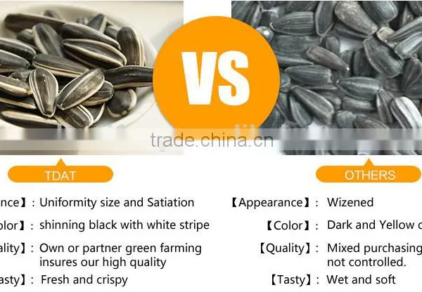 New Crop Chinese Sunflower Seed 5009/3638/0409/103/601 for Bird photo-4