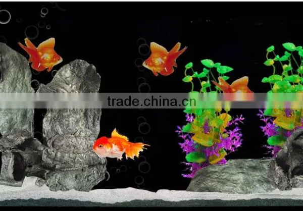 Aquarium Rocks and Plants.