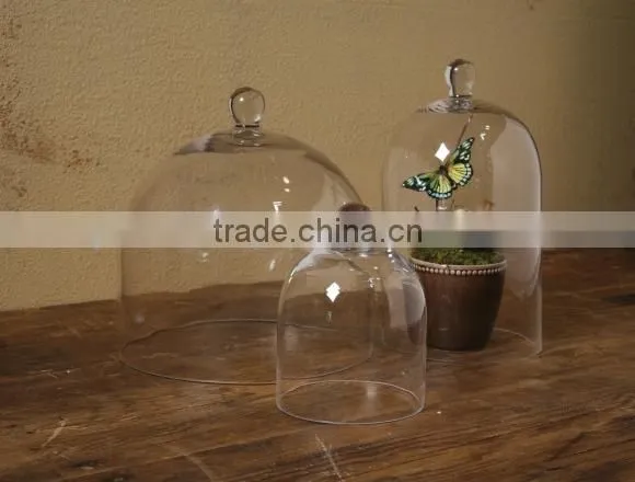 Wholesale Glass Bell Cloche and Glass Cloches as Glass Dome With Wooden Base photo-4