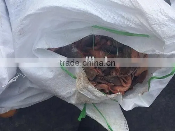Frozen Tuna Black Meat Fresh Dark Meat for Sale photo-2