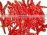 red chilli