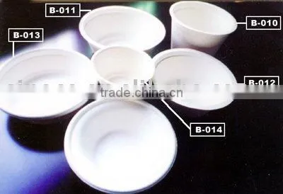 paper tableware