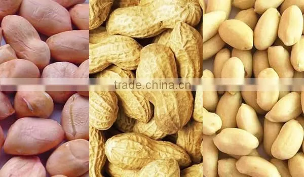 Chinese Peanuts Kernel for Hot Sale and With Free Sample for You photo-6