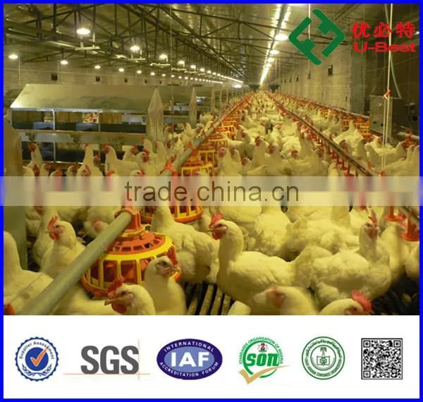 U-BEST Automatic Whole Poultry Farming Equipment for Chicken House photo-6