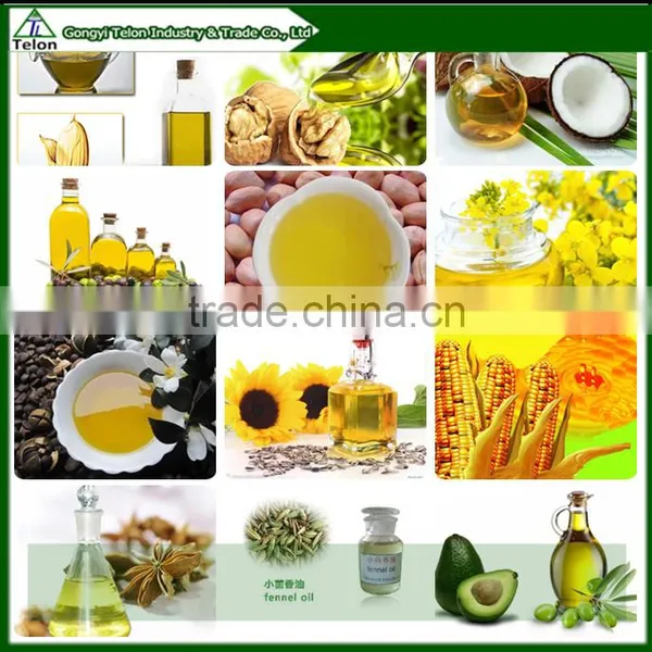 Stainless Steel Hydraulic Olive/soybean/peanut/sesame Oil Press Machine/pressing Machine/oil Presser photo-2