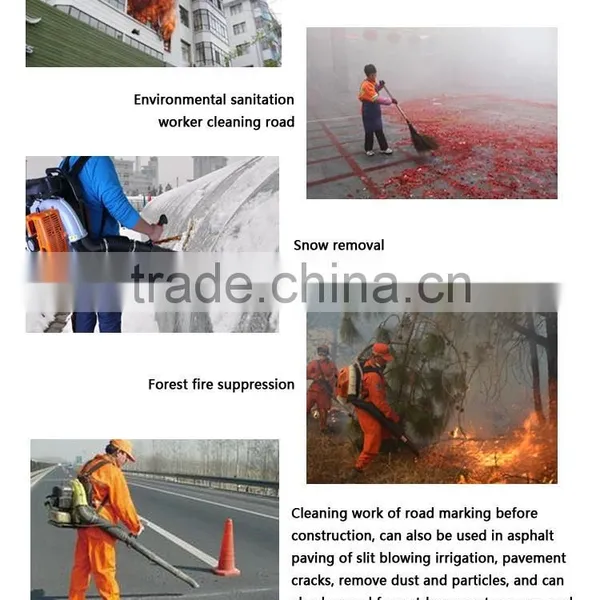 2017 Best Selling Household Snow Blower/air Blower Manufacturer,manual Blower for Construction Site Cleanup photo-6