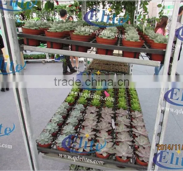 354 Plantation Trolley photo-4