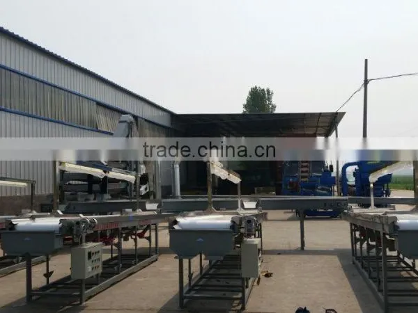 Peanut Color Sorter/processing Machine photo-5