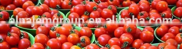 Hot Sale High Viscosity Filling Machinery/tomato Sauce Filling Machinery/ketchup Filling Machinery photo-4