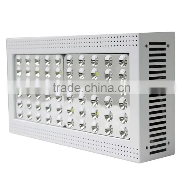 China Wholesale Led Grow Light CXB3590 Led Grow Light With Lowest Price. photo-6