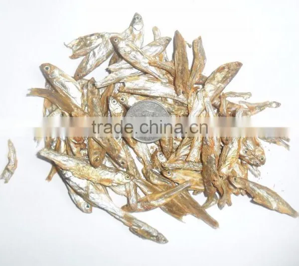 High Nutrition Types of Dried Fish Dry Cat Food photo-2