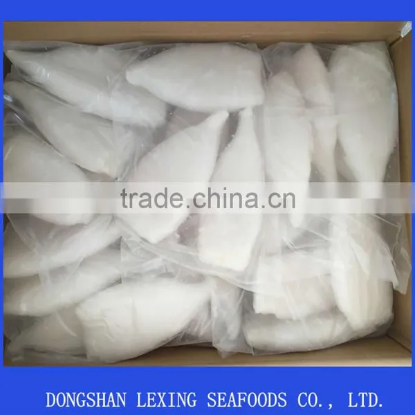 Frozen Squid Tube U10 photo-2