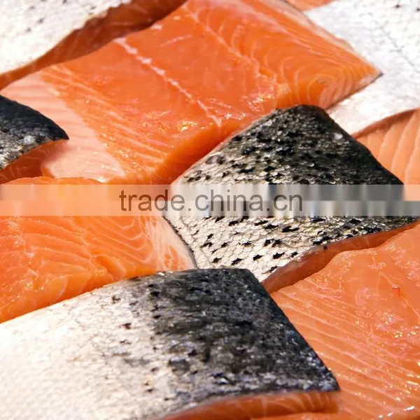 Atlantic Salmon photo-4