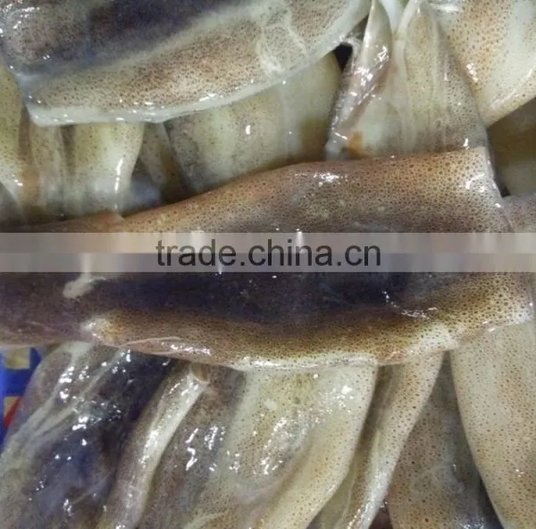 Zhengyuan Frozen Illex Squid Tube photo-2