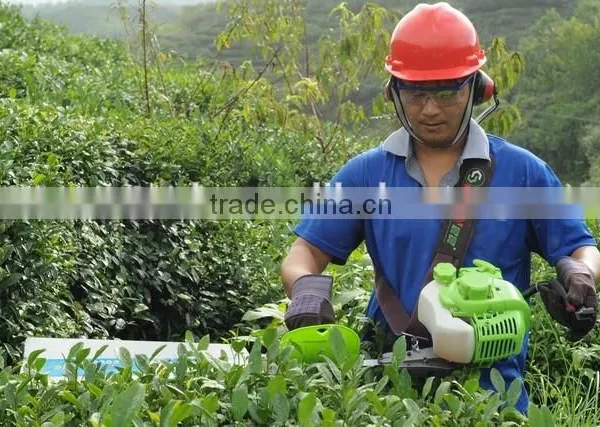 Double Edged Hedge Trimmer, 22.5cc, 1 HP /CE/GS photo-2