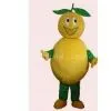 Lovely Full-body Lemon Mascot Cartoon Cosplay Fruit Costumes of Handmade