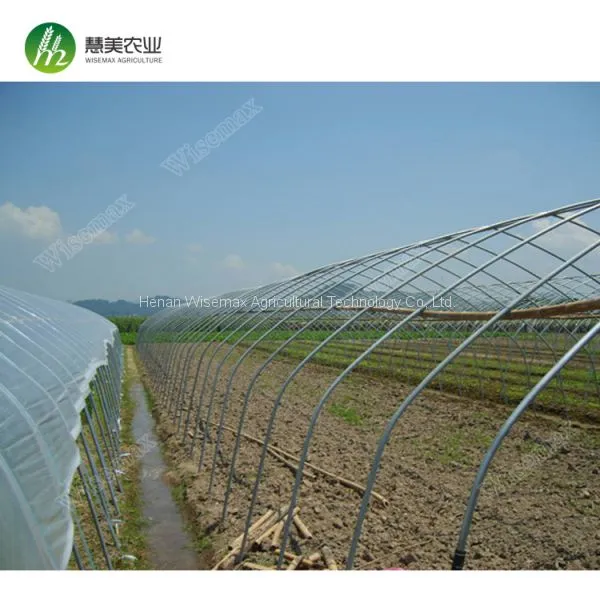 Hot Sale Commercial Polycarbonale Small Single Span Greenhouse photo-3