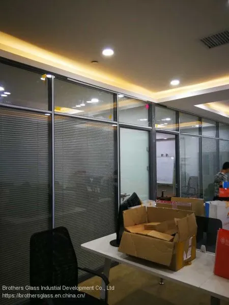 Planibel G Low E Insulating Glass photo-4