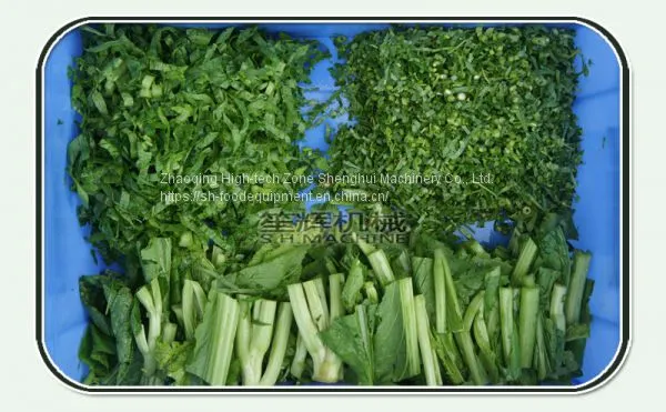 Double Head Leaf Vegetable Cutting Machine Fruit Slicing Shredder Dicing Equipment photo-5