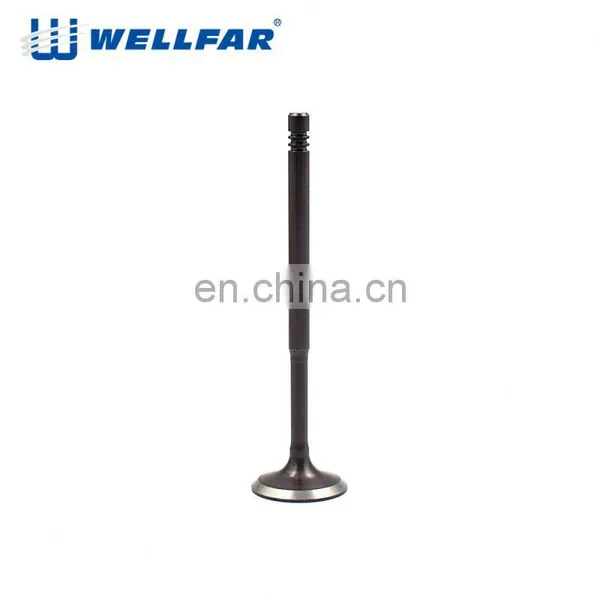 European Vehicle Top Quality Car Intake Engine Valve for Passat b5 1.8T photo-3