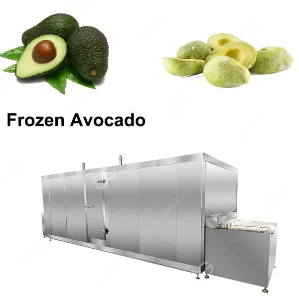 Flash Frozen Equipment/Freeze Cantaloupe Chunks photo-2