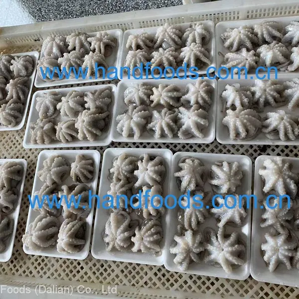 Frozen Cleaned Baby Octopus photo-5