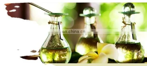 CHINA Factory Essential Oils Extraction Extractor Machine in Industrial Machine photo-4