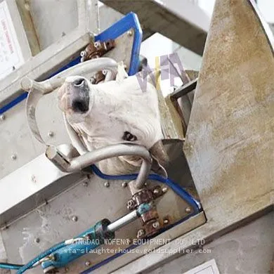 Full Set Automatic Cattle Slaughter Line For Ritual Rotary Slaughtering Box For Cow Slaughtering Equipment photo-4