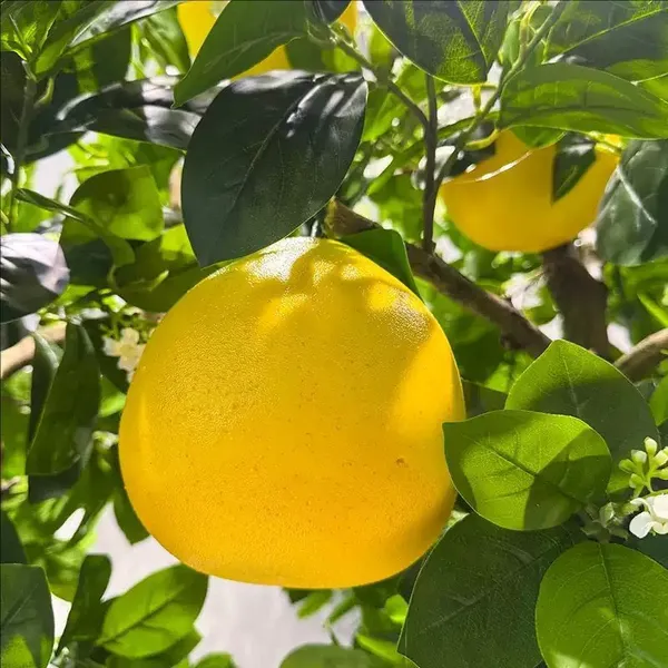 Commercial Grade Fake Grapefruit Tree 7FT-21FT Fire Retardant & Windproof for Theme Parks, ECO Certificated Trunk photo-4