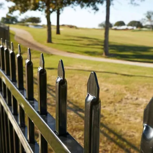 Galvanized Steel Garden Ornamental Fence for Outdoor Villa - 1.2m Height Customizable photo-5