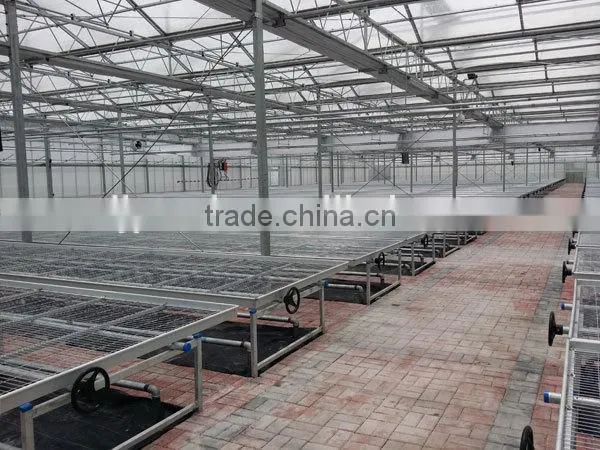 Hot Sale Cut Flowers Used Greenhouse Bench photo-3