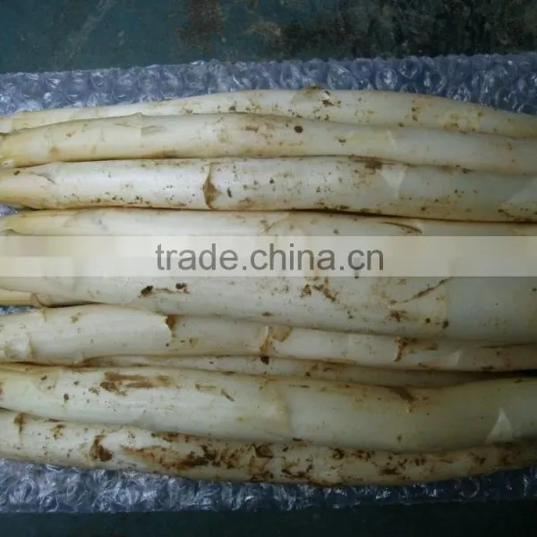 2016 Crop Chinese Frozen Iqf White Asparagus Center Cuts photo-3