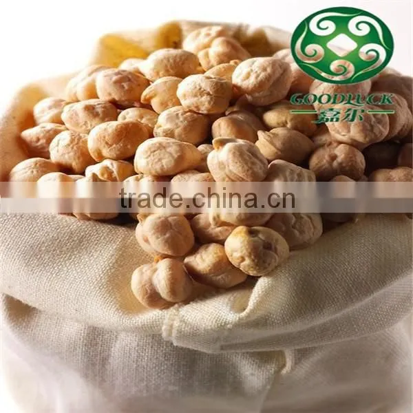 Wholesale China Chickpeas of Xinjing Origin(2013 Crop) Quality Choice photo-5
