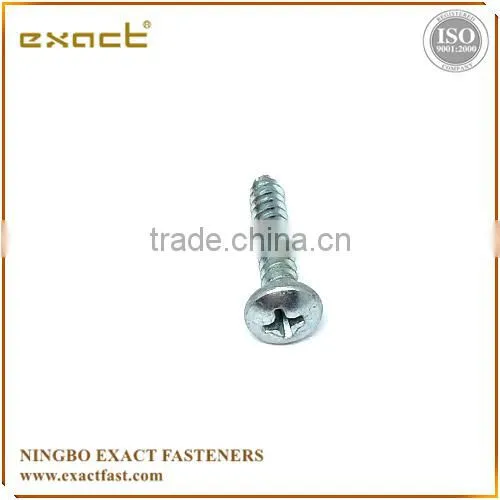 Philips Pan Head Screws Self Tapping Screw Tapping Screw Screw Din7981 photo-6